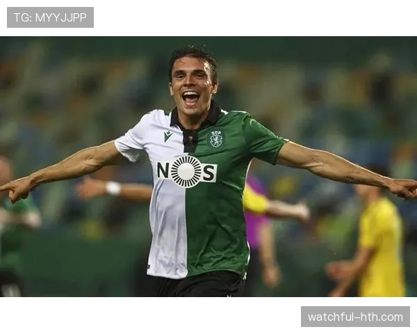 葡萄牙国家队主力后腰：帕利尼亚的国家队地位